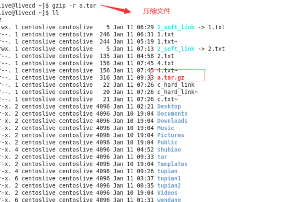 gzip源码，如何实现数据压缩的魔法？