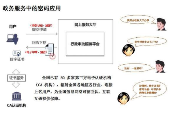 飘零网络验证源码是否为一种常见的网络安全技术？