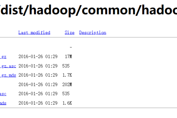 如何获取Hadoop源码的下载指南？  第1张