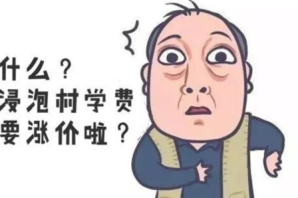 浸泡村的学费究竟是多少？