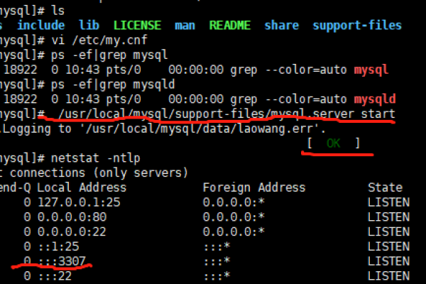 如何检查服务器上的MySQL运行状况？  第1张