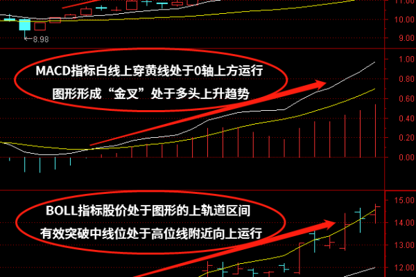 如何理解并应用Boll M源码？