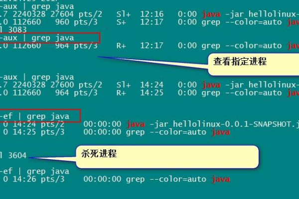 如何查看服务器上的进程信息？  第1张