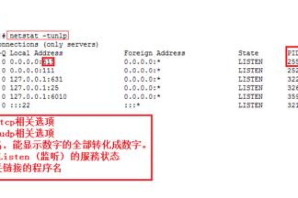 如何查看服务器上所有运行的进程？