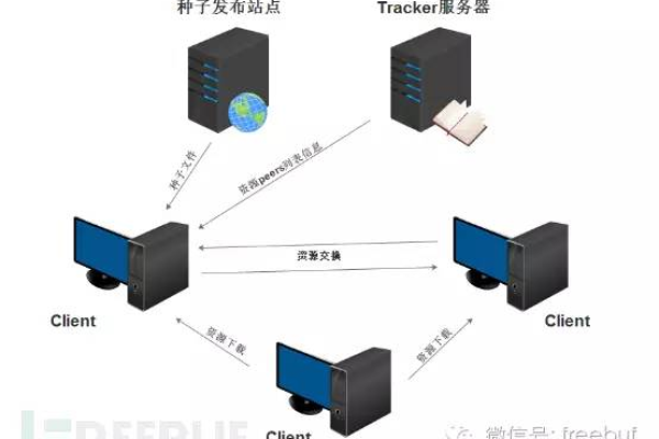 如何搭建P2P服务器？详细步骤与注意事项解析