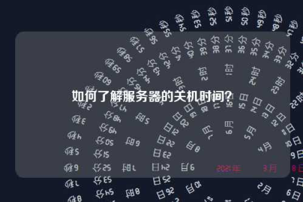 为什么服务器需要每天定时关机？