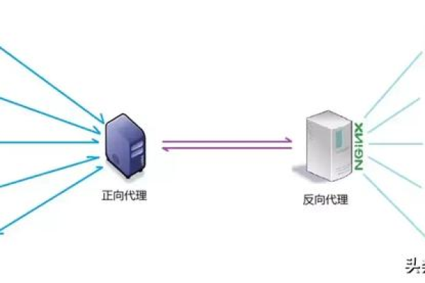 服务器是否真的需要进行网络设置？  第1张