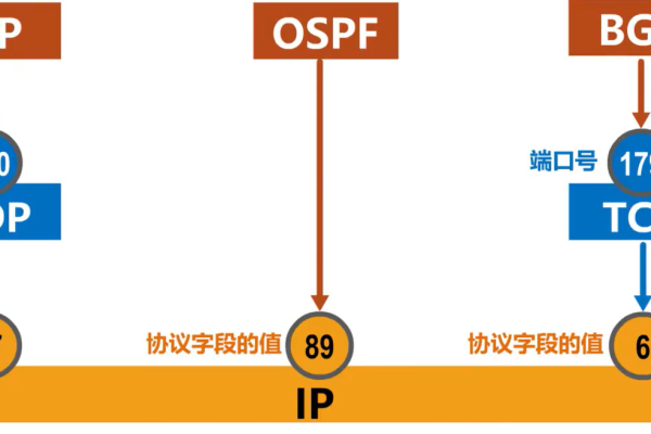 什么是UDP端口？它与TCP端口有何不同？  第1张