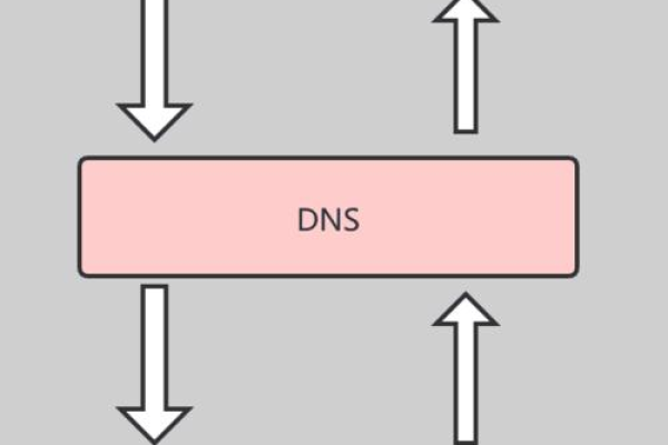 什么是国外DNS，它与国内DNS有何不同？  第1张