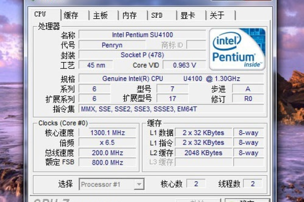 T4300处理器在DS4300 Windows 2008环境下表现如何？  第1张