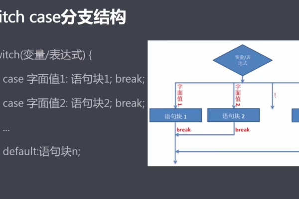 如何有效运用Case语句进行条件判断与分支处理？  第1张