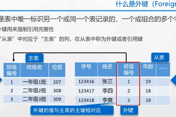 外键在数据库设计中扮演着怎样的角色？