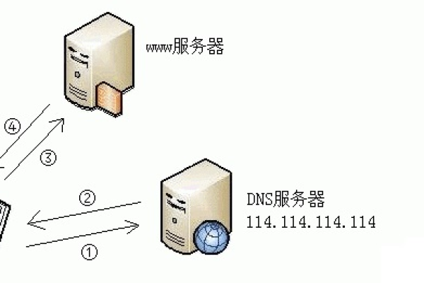 如何正确设置DNS服务器以优化网络连接？