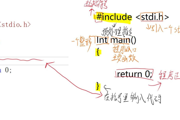 什么是main函数？它在编程中扮演什么角色？