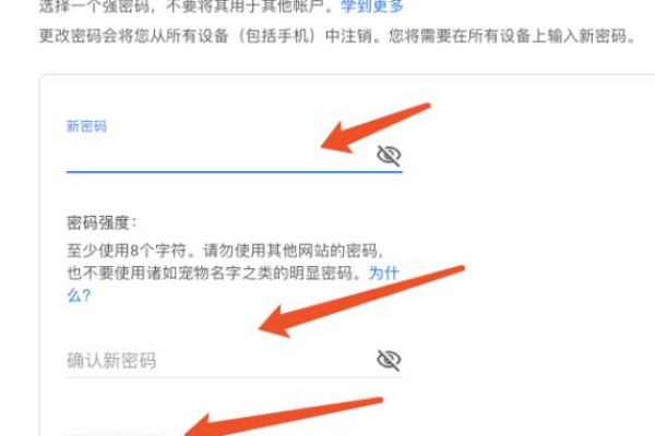 为何谷歌服务器无法设置密码？  第1张