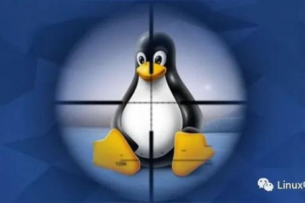 DOS系统与Linux，两者有何不同及各自的优势是什么？