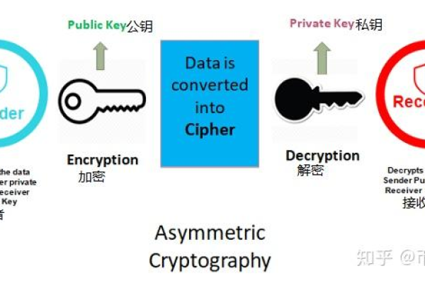 公钥与私钥有何不同？它们在加密中各自扮演什么角色？