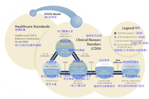 S1 CDNC，探索其背后的故事与意义，你了解多少？