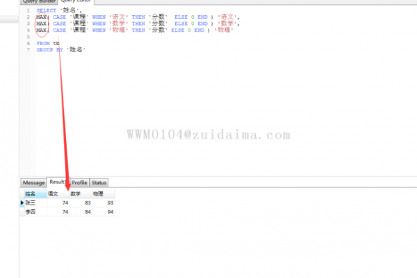 在MySQL数据库中，如何使用WHEN条件语句进行数据查询？