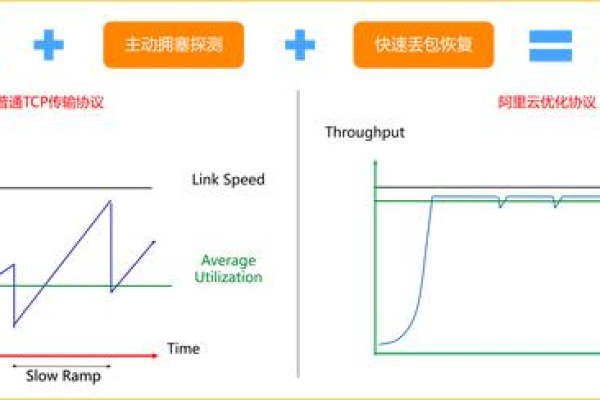 CDN试剂在实验中的作用是什么？