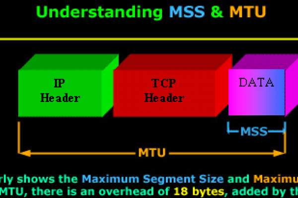 什么是TCP的MSS选项，它如何影响网络通信的效率？  第1张