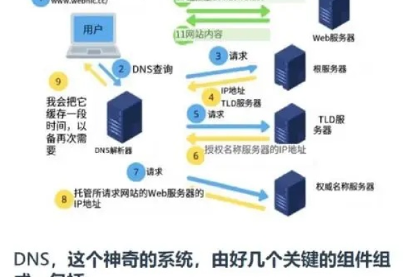 什么是DNS的英文全称？