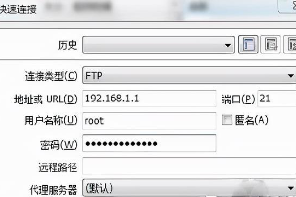 在FTP服务器地址中，如何指定访问特定目录的符号是什么？