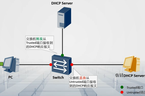 网络中的DHCP服务器通常使用什么设备或软件？  第1张