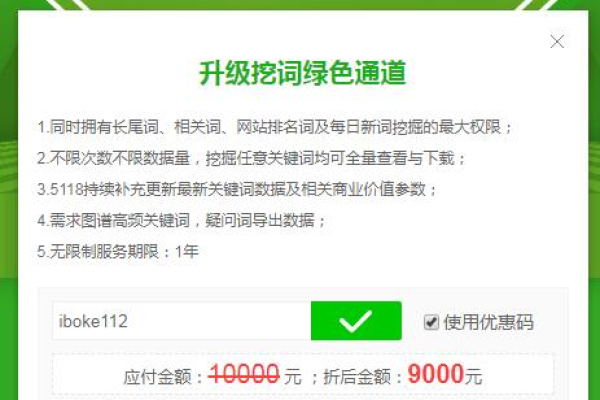 5118专业版会员的年费是多少，并且有哪些优惠码可以应用？  第1张