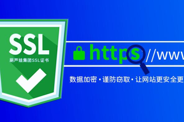 申请SSL安全证书时，有哪些关键信息补全的注意事项需要特别留意？  第1张