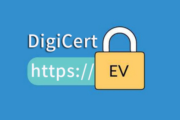 DigiCert SSL数字证书究竟包含哪些不同类型？  第1张