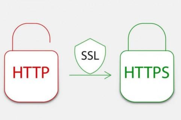 DigiCert SSL证书究竟支持哪些加密算法？