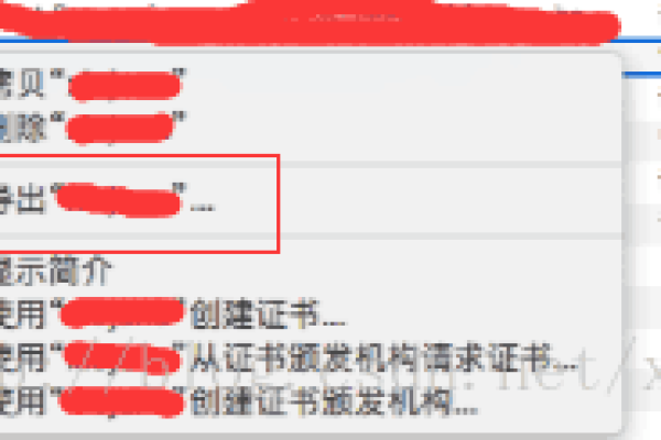 如何将.crt格式的SSL证书成功转换为.cer格式？  第1张