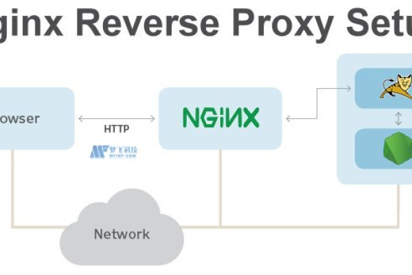 Nginx反向代理究竟能为我们的网站带来哪些关键优势？