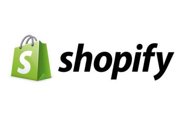 Shopify新手必读，如何解决常见的经营难题？  第1张