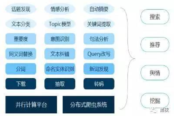 整理汇总Z，这篇文章究竟为我们揭示了哪些关键信息？  第1张