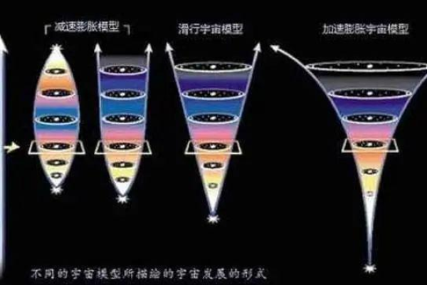 Z，建议，Z究竟隐藏了哪些未知的秘密？  第1张