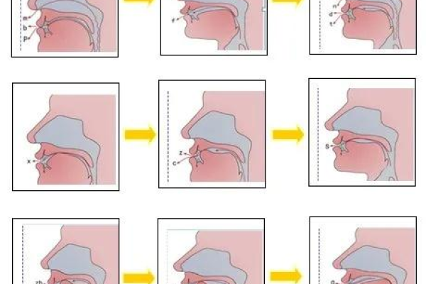 鼻音在发音中究竟有多少种？