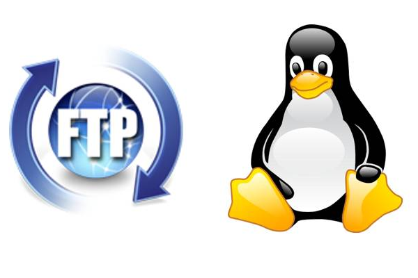 如何在Linux系统上搭建FTP服务器？