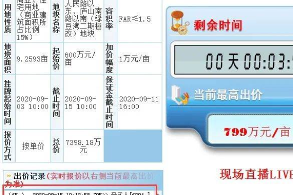 竞价单页的价格是多少？  第1张