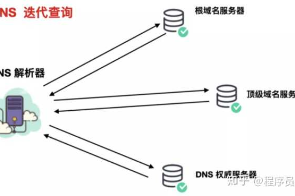 如何查询DNS服务器信息？