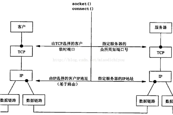 TCP客户端和服务器在网络通信中分别扮演什么角色？