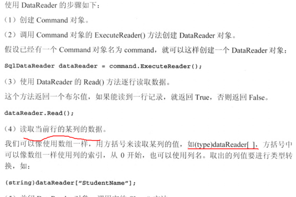 DataReader对象在编程中扮演着哪些关键角色？  第1张