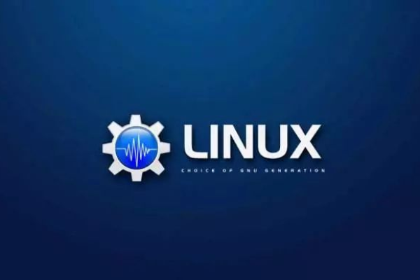 Linux的崛起，如何从小众项目成为全球主导操作系统？