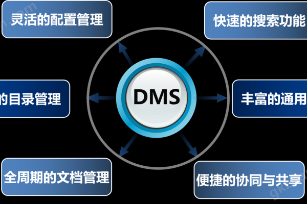 dms是啥意思_DMS输出流