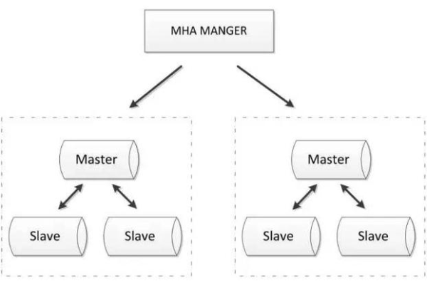 如何在众多MySQL版本中做出明智的选择？