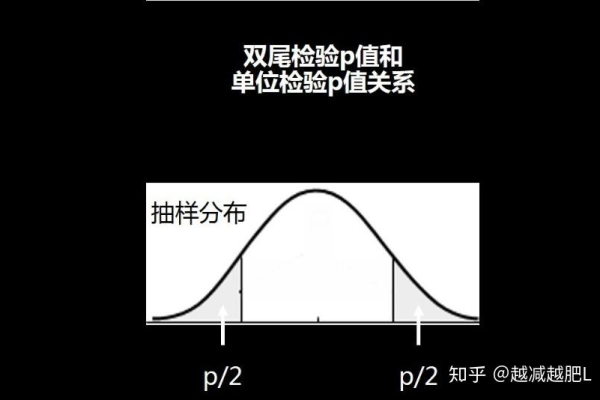 如何在MATLAB中执行假设检验？