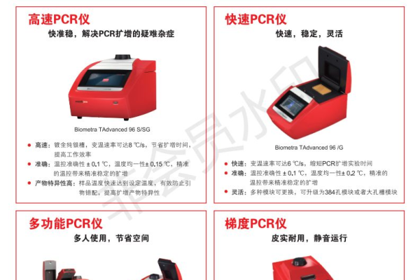 如何租用俄罗斯的廉价VPS服务？