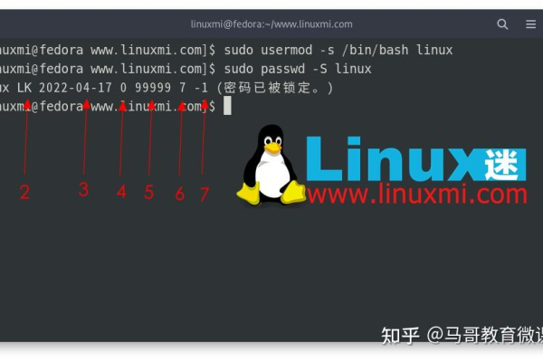 Linux 中怎么锁定和解锁用户帐户  第1张