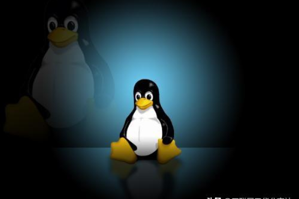 虚拟主机Linux内存不足时，该如何有效解决？